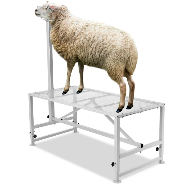 Livestock Stand  Adjustable Height