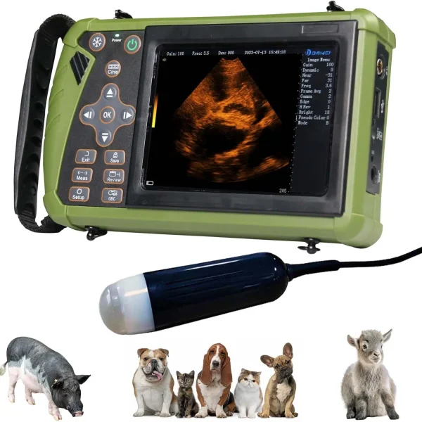 Portable Veterinary Ultrasound Scanner for Pregnancy Livestock
