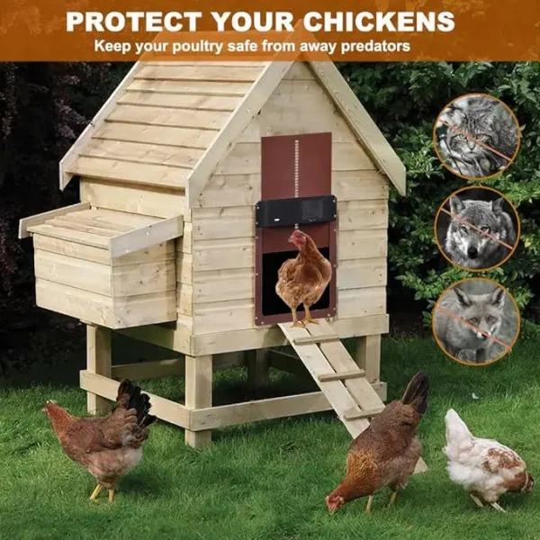 Automatic light-sensing chicken coop door,