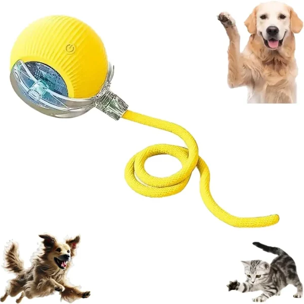 Pet Toy Ball with Tail Rope